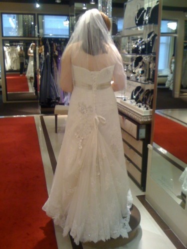 Can I see you in your dress? :  wedding dress Dress3