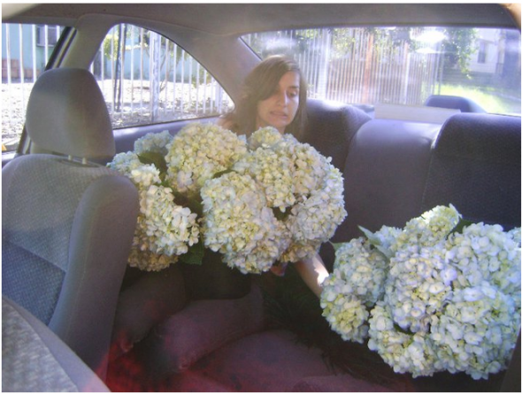 DIY Flowers, Centerpieces and Bouquets :  wedding dahlias hydrangeas fiftyflowerscom wholeblossomscom samsclub diy wedding day teal blue red cake bouqet flowers reception miami Hydran