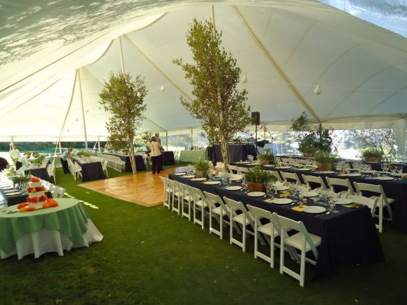 Post your guest photos, I'll start! : wedding Tent