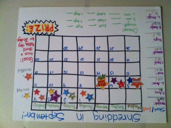Shredding in September! :  wedding 30 day shred exercise challenge Shred Chart