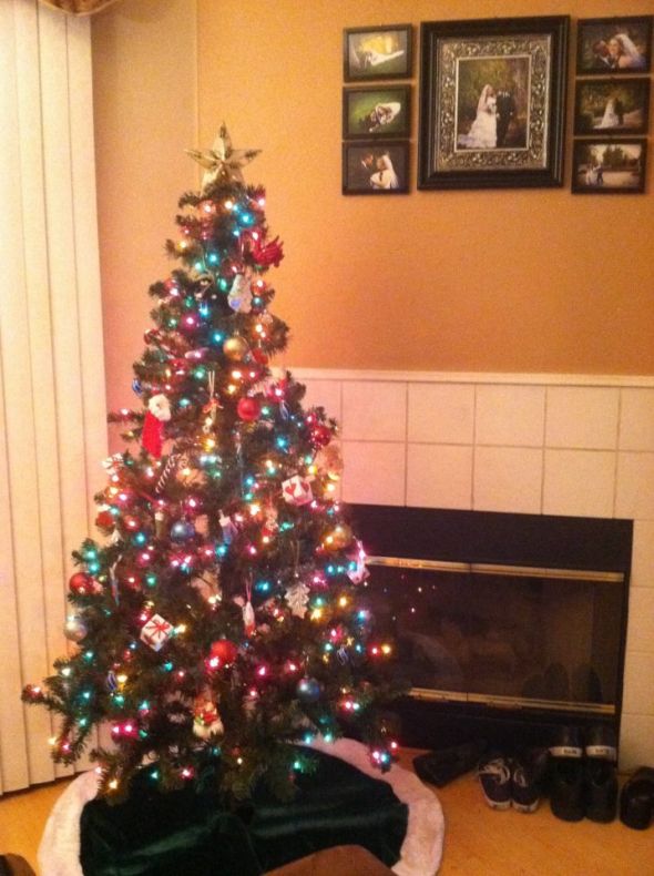 Wedding Pictures Above Your Bed.... or Anywhere Else! :  wedding Tree