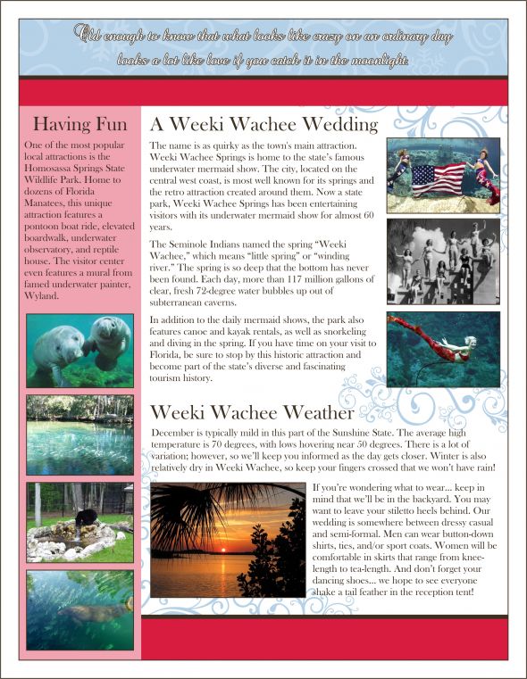 Wedding Newsletter :  wedding newsletter paper guests blue brown red diy Vol1 Page 4