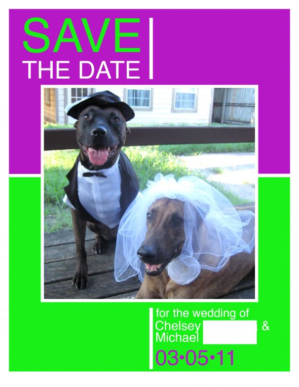 Incorporating the dogs wedding diy dogs save the date green purple STD 