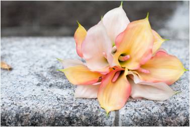 What are your ten favorite pro photos that express your day? : wedding Bouquet