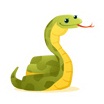 Newest bee blogger will be introduced tomorrow on the blog :  wedding blogger bee boa constrictor Boa