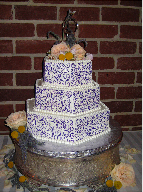 My Honey & Lavender wedding in Annapolis recap w/ lots o' pics! :  wedding recap jazziberry honey and lavender annapolis purple shoes yellow shoes Thecake