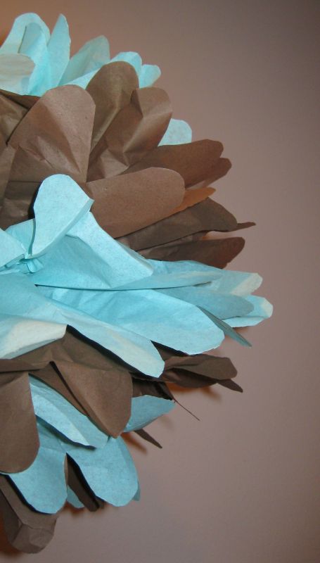 Tissue Paper Poms - Free Shipping :  wedding decorations hanging poms tissue paper diy June 130