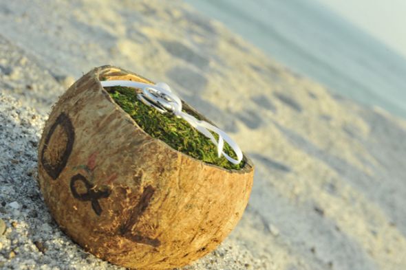 Paradise in Panama: the details