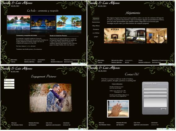 Which Wedding Website? :  wedding wedding website Our Website