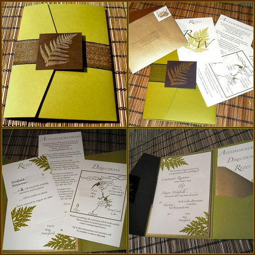 Show me your invitation inspiration! :  wedding Invitation
