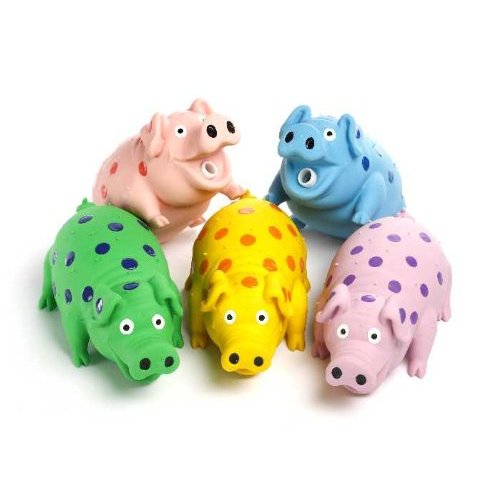 Do you gift your pets? :  wedding Piggy