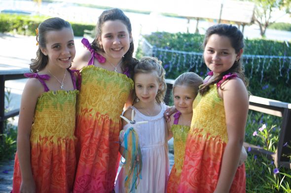 Describe your wedding party . . . :  wedding BMDresses2
