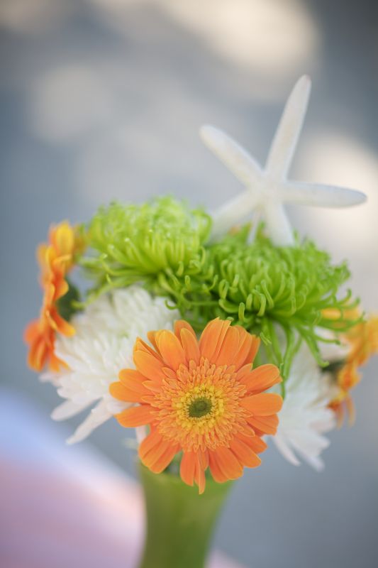 any Sam's Club flower brides? :  wedding beehive diy reception budget ceremony FloralArrangement