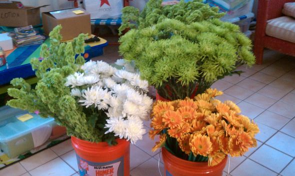 any Sam's Club flower brides? :  wedding beehive diy reception budget ceremony Flowers3