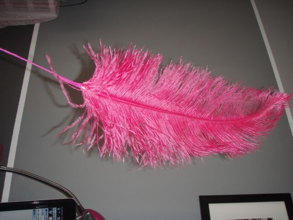 hot pink rose petals. Ostrich Feathers / Rose Petals