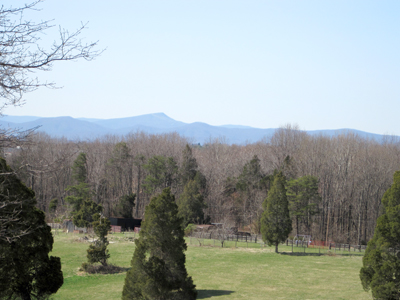 boxtree lodge? :  wedding IMG 0083