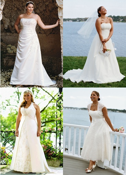 Bridal Blues :  wedding plus size 1 wedding davids bridal gown dress shopping 4