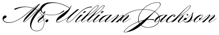 Which font do you like for Escort Cards :  wedding burgues script albemarle swash fonts Font BurguesScript