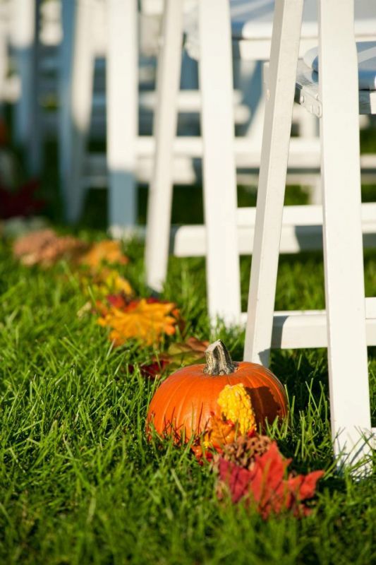 Mini pro pic recap of our 10/7 fall-themed wedding! :  wedding Aisle