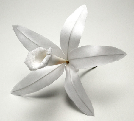 Flowers in season in January! Anyone else frustrated? :  wedding Vanillaflower