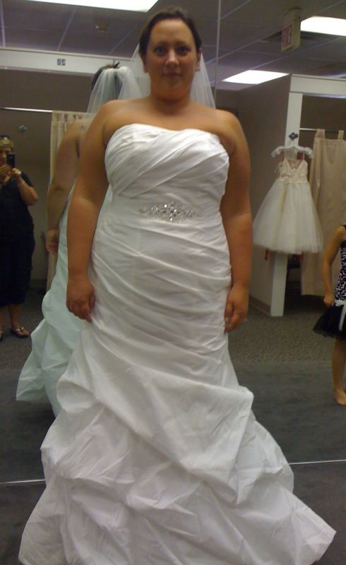 Calling all size 20+ bees... :  wedding Mydress1