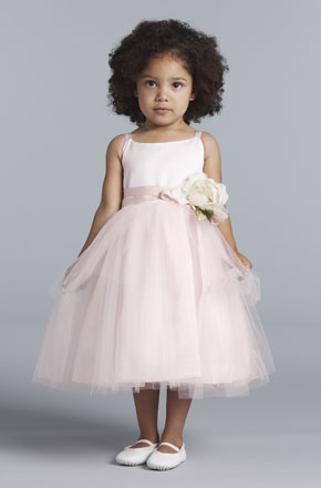 Which would you choose flower girl dress what color ivory or blush