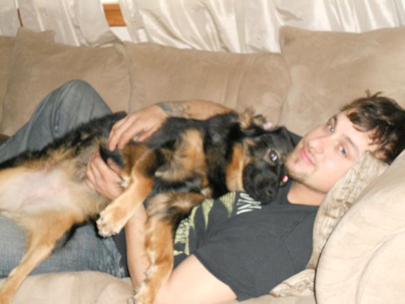 Dear Bees, do you have a dog that loves to snuggle? :  wedding dog that love to snuggle Holidays 2010 002
