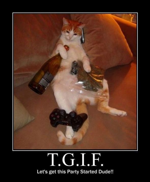 Just because it is Friday... :  wedding Tgif