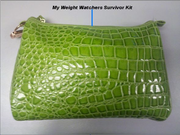 What Worked for Me Part 2 - My Weight Watchers Advice! :  wedding weight watchers Bag Front With Captions