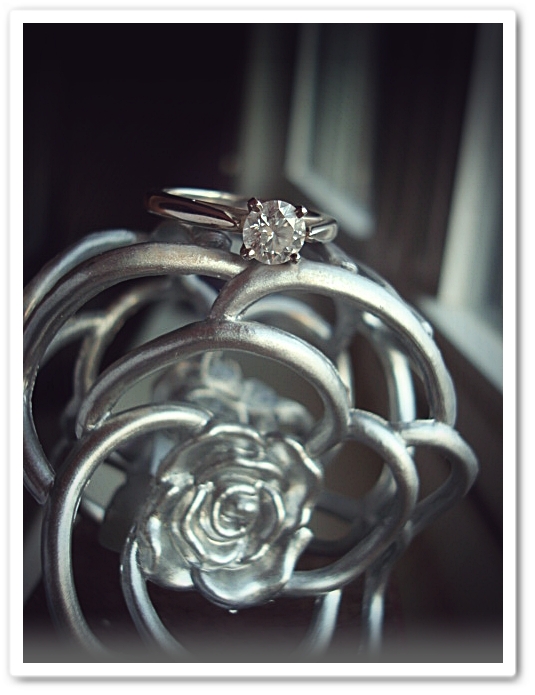 Let's See Your Ring Photo Shoot! :  wedding Blogring4