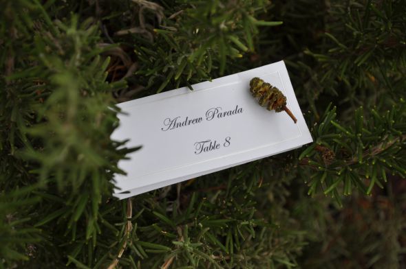 Rustic Place cards : wedding rustic brown green ivory ceremony reception WEDDINGSHOWER 308