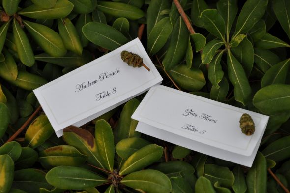 Rustic Place cards : wedding rustic brown green ivory ceremony reception WEDDINGSHOWER 310