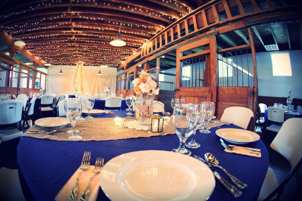 Reception WITHOUT chiavari chairs or chair covers (pics please) :  wedding chairs decor chiavari chair covers Table 4