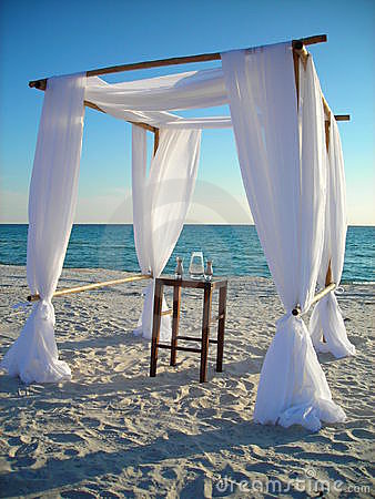 Beach Wedding Arches