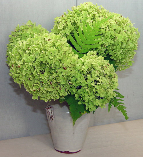 Booked ceremony site! (question about colors/flowers?) : wedding Arborescens Bloom Green