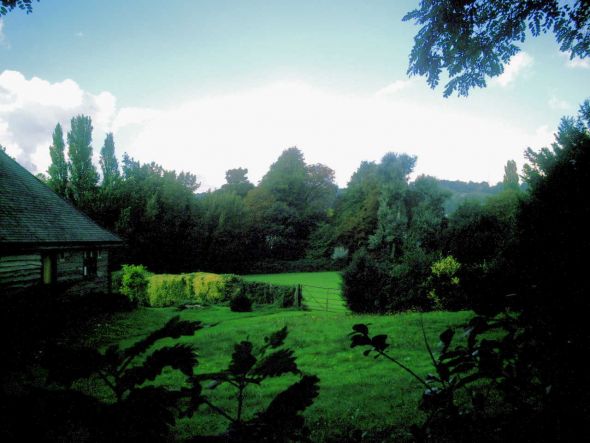 Favorite photos you've taken... (photography) :  wedding Field In Reigate 1