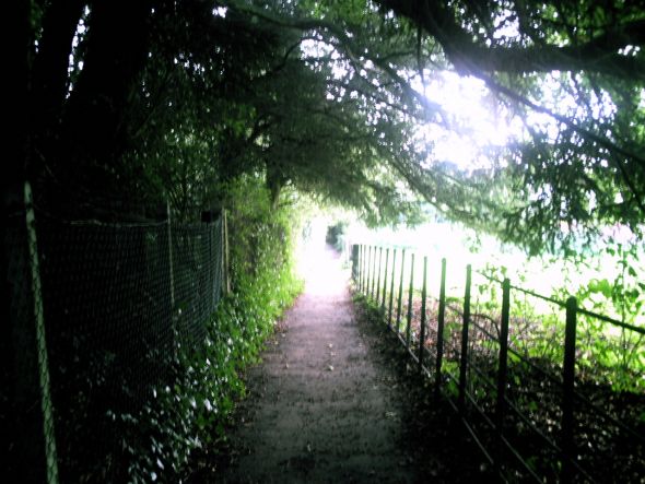 Favorite photos you've taken... (photography) :  wedding Reigate Foot Path