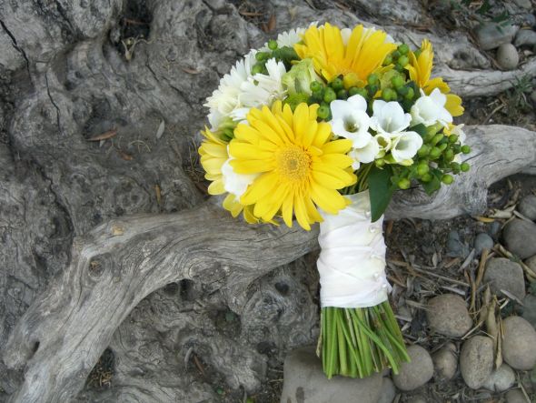 Oh My, Please Help Me! :  wedding CIMG2696