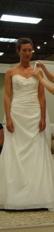 Have I found the right dress? :  wedding DSC00257