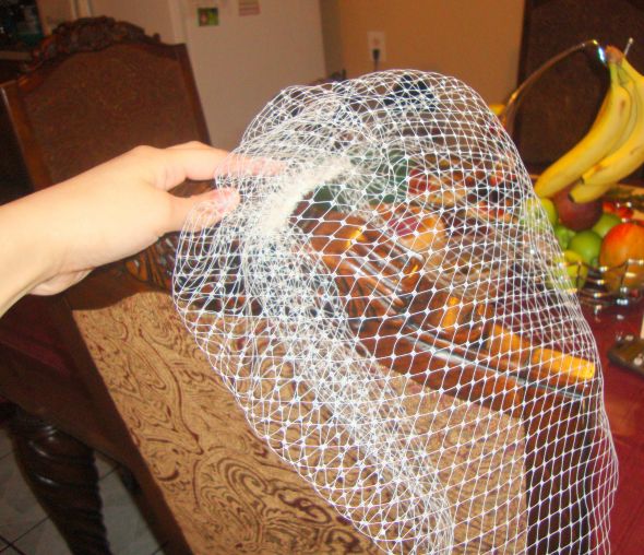 White Birdcage Veil! Must see! : wedding veil birdcage veil white rhinestones ceremony dress reception DSC03051