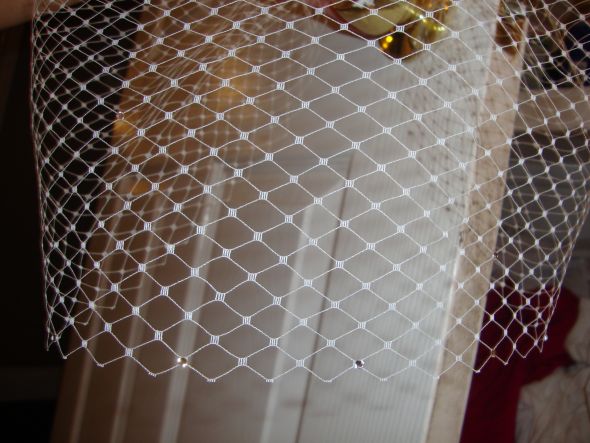 White Birdcage Veil! Must see! : wedding veil birdcage veil white rhinestones ceremony dress reception DSC03056