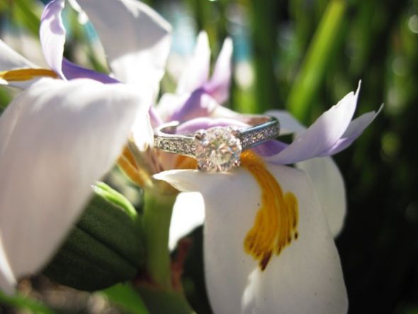 Show off your E-ring! :  wedding Iris Close Up 1   Small