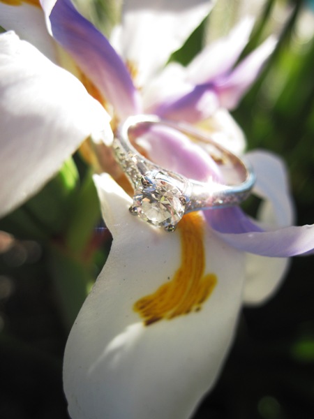 Show off your E-ring! :  wedding Iris Side Close Up 2   Small