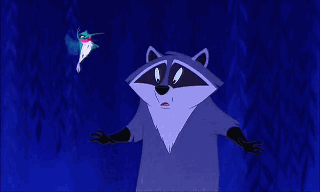 Meeko+disney+character