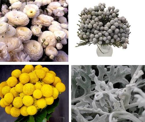 So what flowers did you choose for your bouquet - post pictures too : wedding Bouquet Flowers
