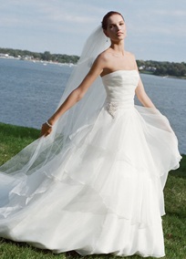 Which dress should I pick? :  wedding wedding dress gown davids bridal picking a dress Three