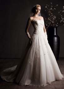 Which dress should I pick? :  wedding wedding dress gown davids bridal picking a dress Two