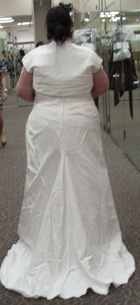 Bless the DB Outlet :  wedding Dress Back