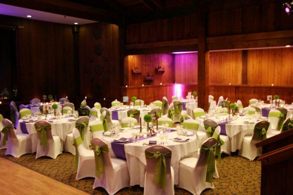 reception decor wedding green purple Reception Decor