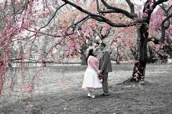 april 9th wedding -dc cherry blossoms - i survived (pro pic heavy) :  wedding dc wedding real pro jefferson memorial washington tea length cherry blossom Cherry Blossom1small